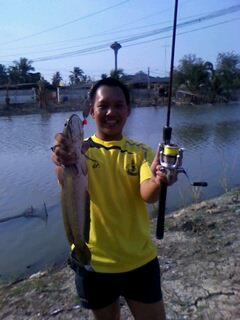 ลองส่งคร้าบบ
