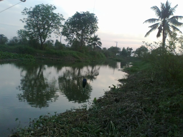 ช่อน สถิติใหม่ กับ เหยื่อปีศาจ