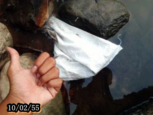 ยืนยันว่ายังมีตัว(ภาพถ่ายกากมาก)