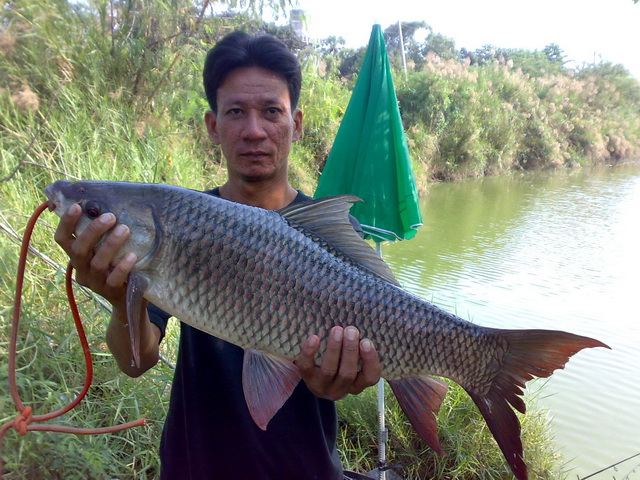เซียน โอ๋