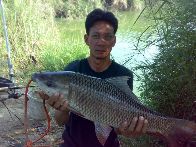 เซียน โอ๋