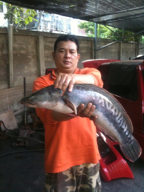 ทดสอบหมายเด็ดสามโคก