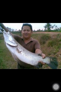 กะพงของผม