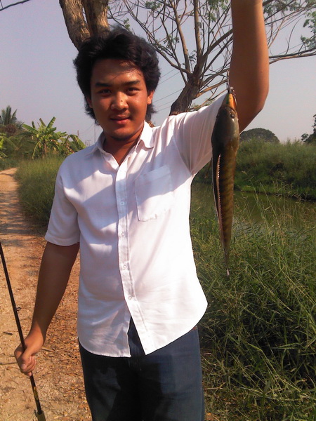 ปลายางชายคลอง