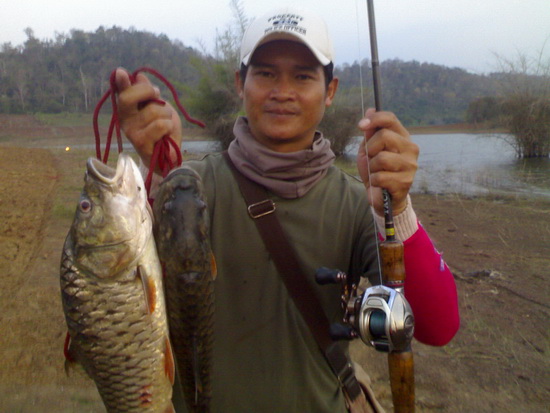 กระสูบสียัด.......สามตัว