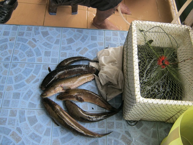 ณ ปทุมฯ