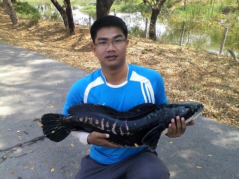 หลงเหลือมาไงเนี่ย  ต้องตีซะให้เข็ด