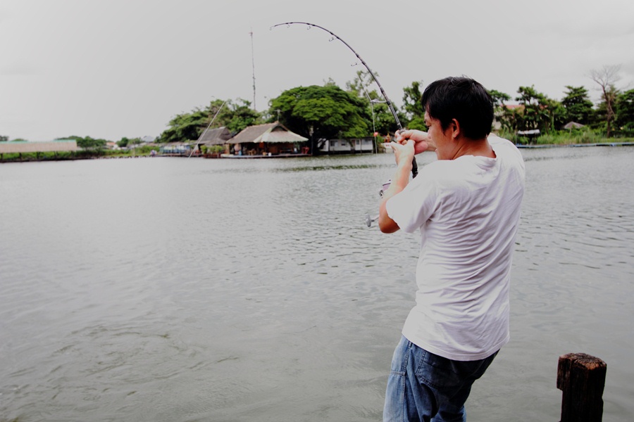 คิดถึงบึง รวม ๆ ภาพที่บึงให้หายคิดถึง