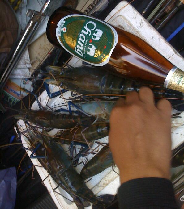 ทดลองส่ง