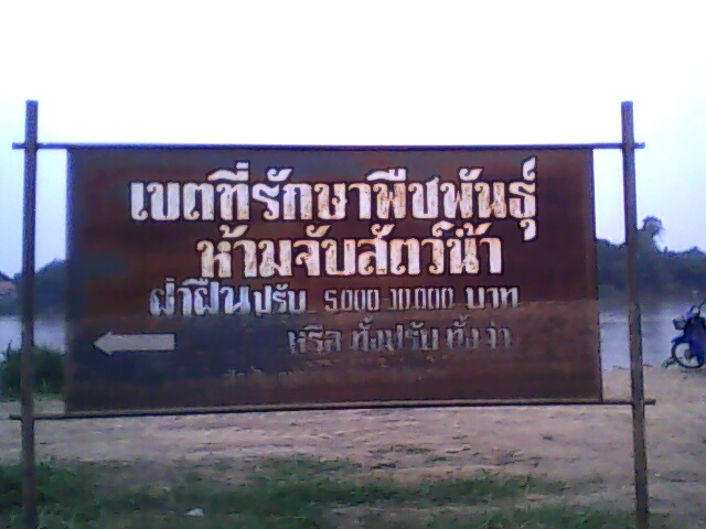 เก็บภาพบรรยากาศรวมๆท้ายเขื่อนเจ้าพระยา ชัยนาท