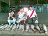 ตามเขาไปตกที่บางไทร