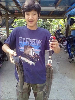 อัพ อัพ ช่อนหนองแขม