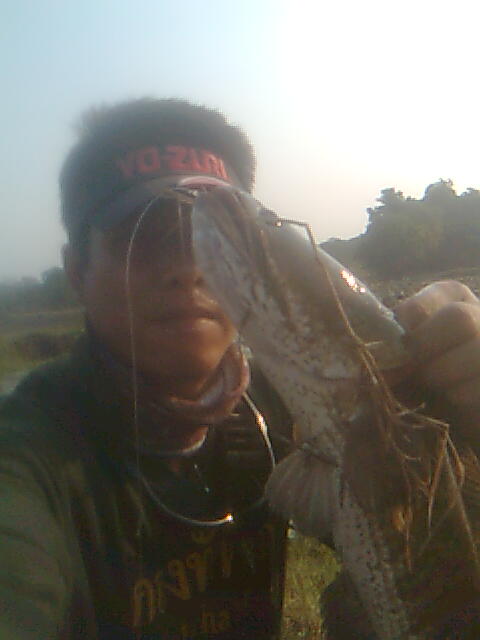 ลองส่งครั้งแรกครับ