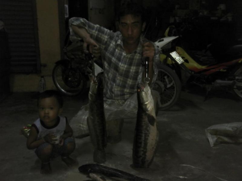 เมื่อวาน  มื้อเย็นหมายใหม่ปลารวม