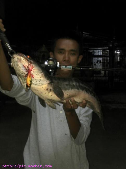 เมื่อวาน  มื้อเย็นหมายใหม่ปลารวม