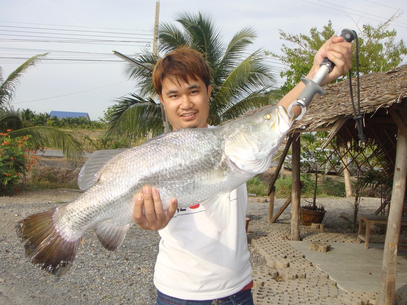 ลองตกกะพงครั้งแรก