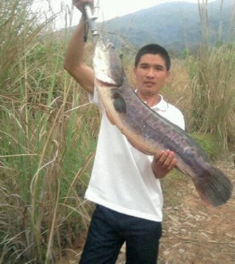 ทดลองส่ง