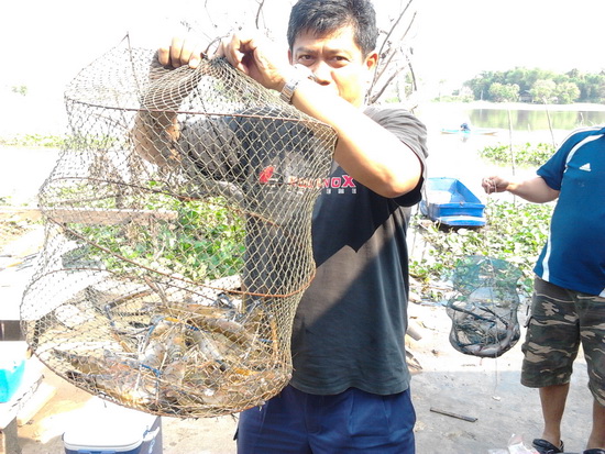 น้องใหม่ นำเสนอ น้องกุ้งครับ