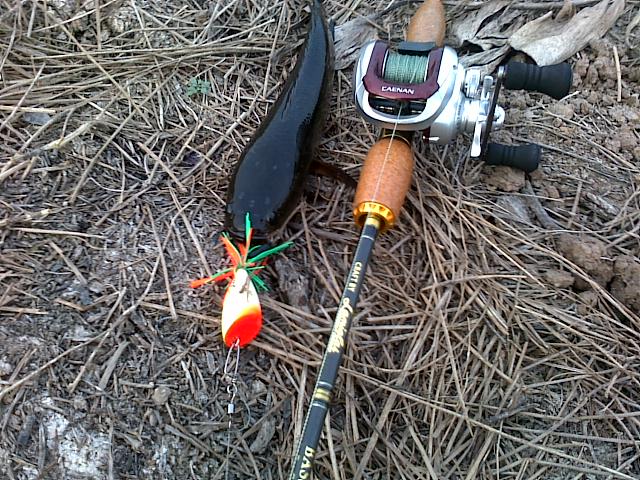 HMT  killed SnakeHead 