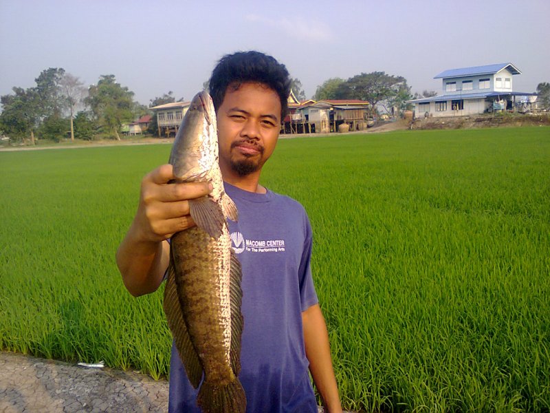 น้องเมีย...นานๆทีผมก็ไม่บ่อย