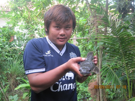 เก็บตก