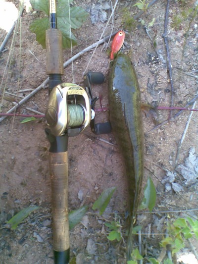 E-ส้ม สมหวัง