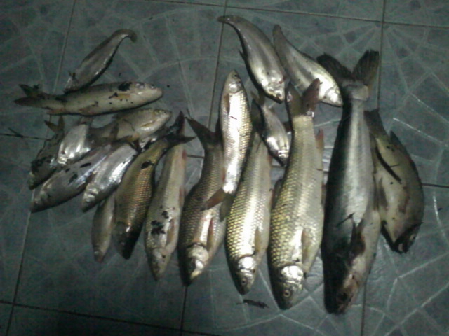 คลอง 5 ครับ