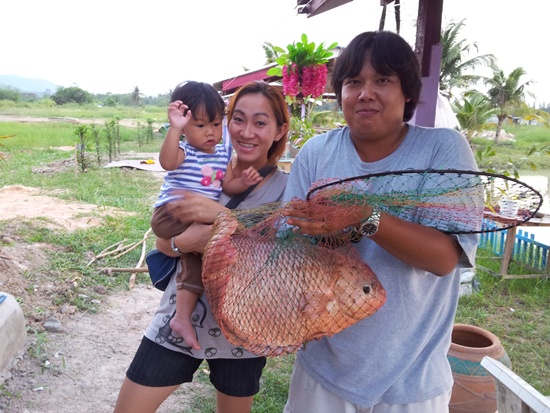 บ่อ ตา แท่ก บางเสร่ 