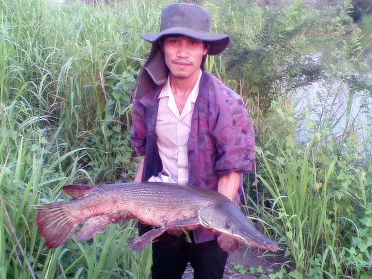 ตกช่อน แต่ได้ เอริเกเตอร์ เฉย