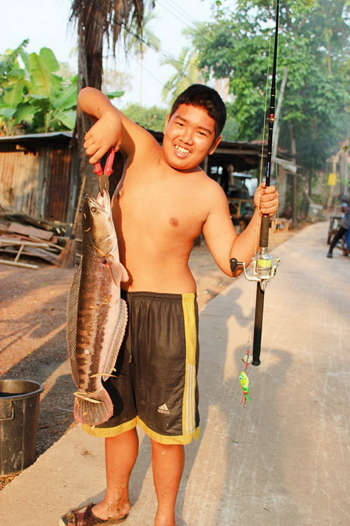 ช่อน ชะโด พาเพลิน ;D