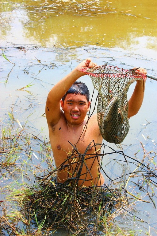 ช่อน ชะโด พาเพลิน ;D