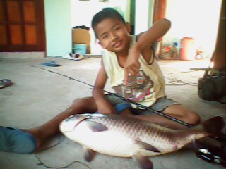 ทดลองส่ง