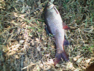 ทดลองส่ง