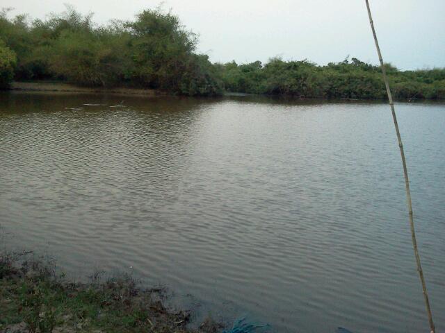 ช่อนหลังเลิกงาน อ.วานร สกลนคร