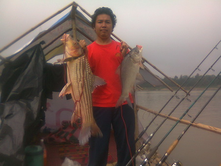 ปลาอะไร ที่แม่น้ำโขง เชียงคาน