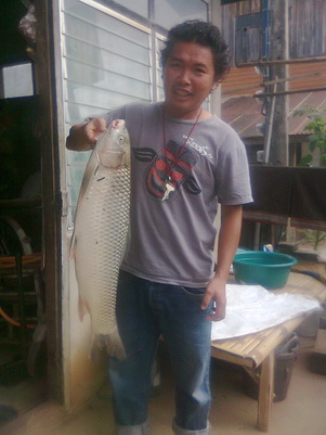 ปลาอะไร ที่แม่น้ำโขง เชียงคาน