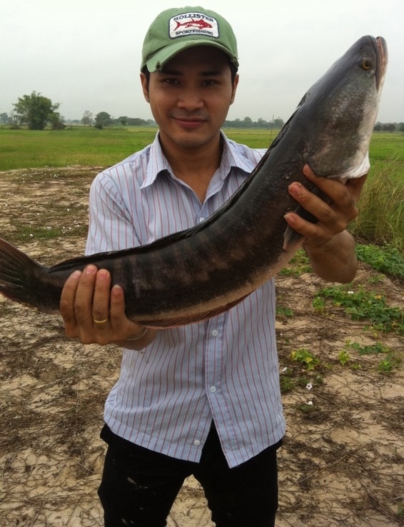 ตกปลาวันละนิด ก่อนทำงาน