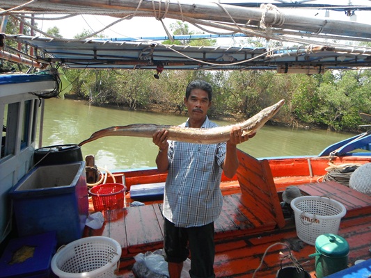 Trip ตกปลาตราด@24-26.02.12