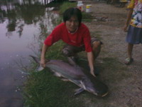 วันพักผ่อนกับคูเมืองฟิชชิ่ง