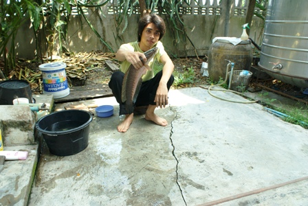 ช่อนคลองไซร์งามๆ