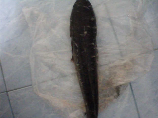  2  ไม้ก็เสียวได้ ^^