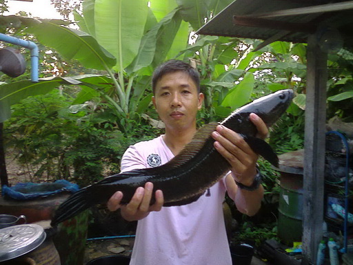 บ่อส่วนตัว