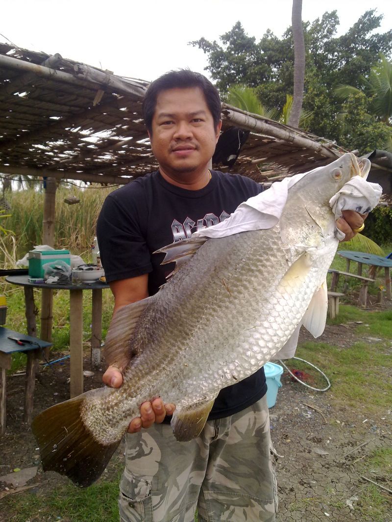 กระพงใหญ่บ่อบุญมาประชาอุทิศ76