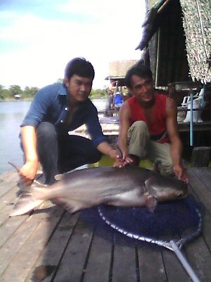 ตัวผมใหญ่ วิลลี่เลยดูเล็ก