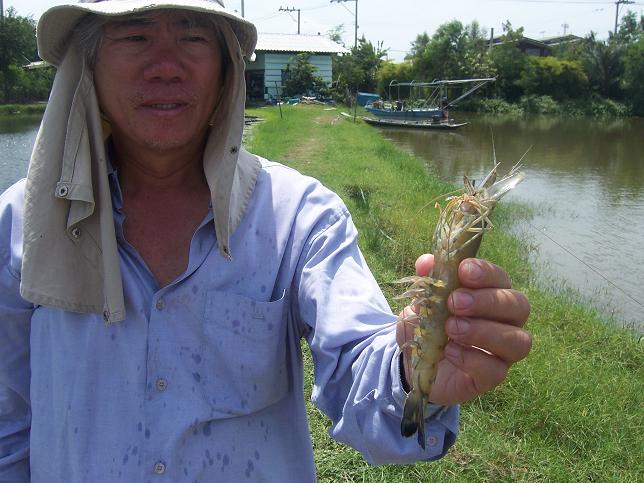 ขอบคุณน้าๆที่ร่วมทริพตกกุ้ง+กระพงบุฟเฟ่คร้าบบบบบบบ