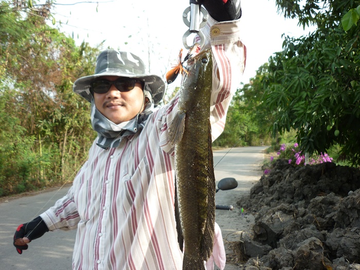 กบ เหลี่ยม ตูน ท่าชนะ