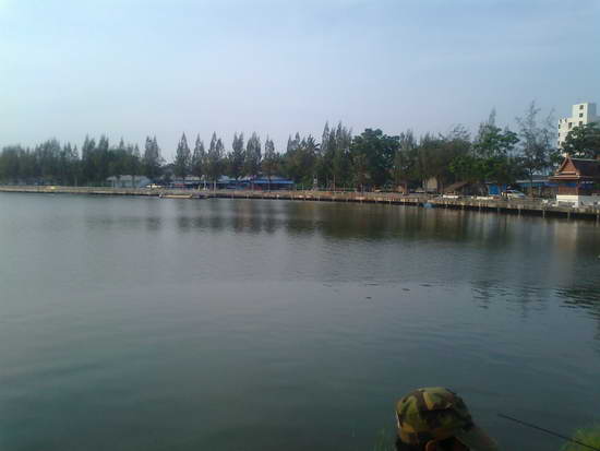 หญ้าปากคอก