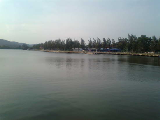 หญ้าปากคอก