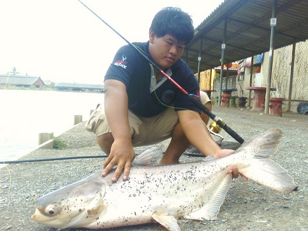 ไปบ่ออิกคิวซังมาครับ