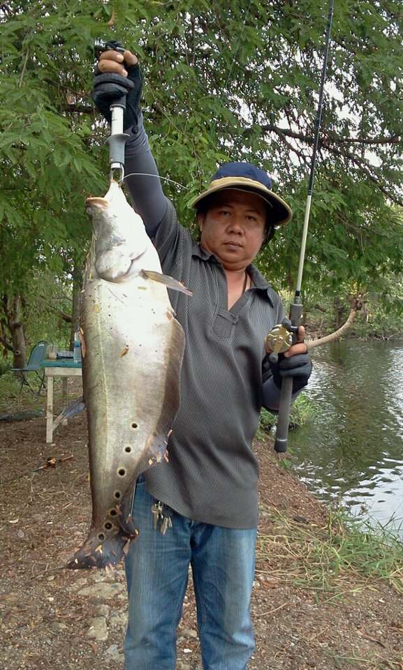 วันนี้ว่างที่ท้ายบ่อ